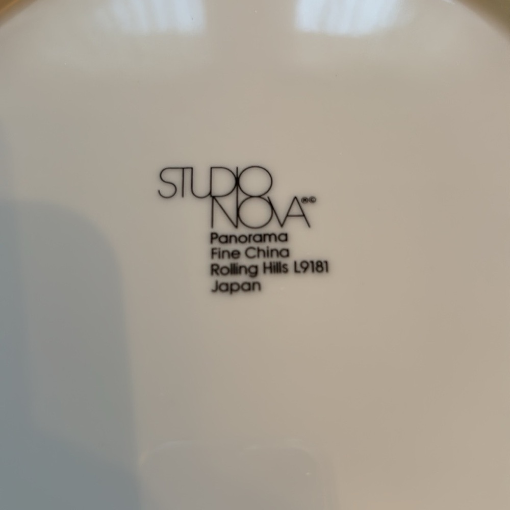 👨‍🌾 STUDIO NOVA ROLLING HILLS SINGLE PLACE SETTING W/ CHIPPED SALAD PLATE - Picture 8 of 8